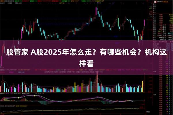 股管家 A股2025年怎么走？有哪些机会？机构这样看