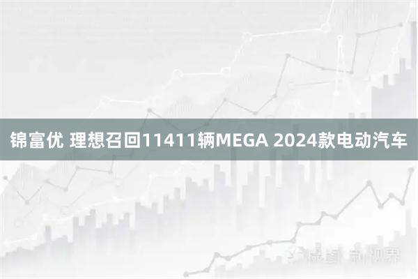 锦富优 理想召回11411辆MEGA 2024款电动汽车