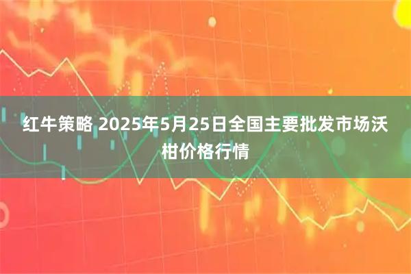 红牛策略 2025年5月25日全国主要批发市场沃柑价格行情