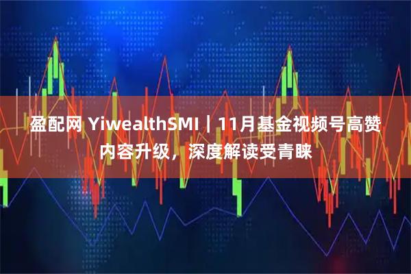 盈配网 YiwealthSMI｜11月基金视频号高赞内容升级，深度解读受青睐