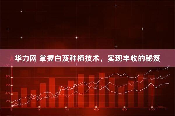 华力网 掌握白芨种植技术，实现丰收的秘笈